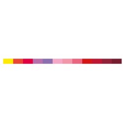 Karin Passion Colors Collection 12 colors Pigment Decobrush |